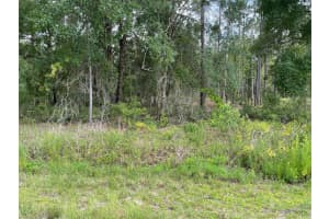 Lot 3 Nw Falcon Ave, DUNNELLON