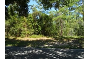 119 Oak Village Blvd, HOMOSASSA