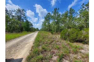 1270 Ne 151st Ave, WILLISTON 1270 Ne 151st Ave, WILLISTON