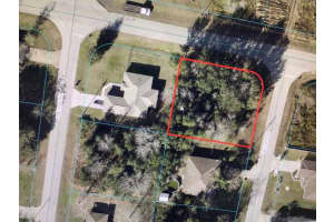 0 Willow Run, OCALA