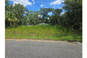 216 Emerald Loop Way, OCALA