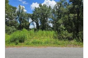 234 Oak Lane Way, OCALA