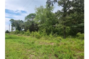 Lot 9 Sw Ivy Pl, DUNNELLON