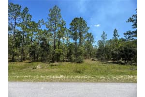 Se 105th Ln, DUNNELLON