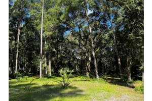 Tbd Lake View Dr W, OCALA