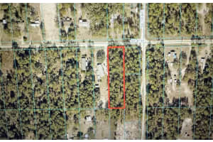 , OCALA