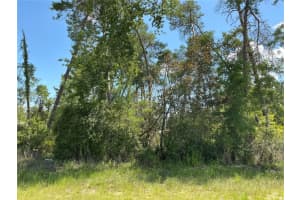 Sw 21st Ter, OCALA