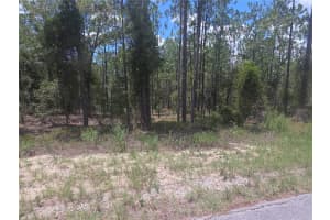 Lot 34 Se 128 Ave, DUNNELLON