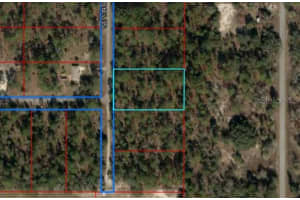 Lot 8 Se 139th Ct, DUNNELLON