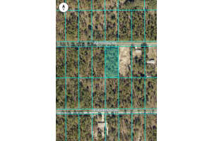 Lot 10 Sw Nautilus Blvd, DUNNELLON