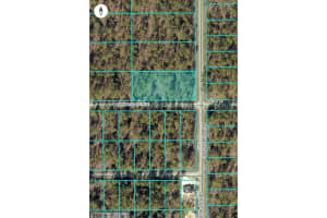 Lot 18 Nw Buena Vista Rd, DUNNELLON