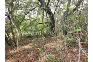 Lot 27 Sw Pine Bluffs Rd, DUNNELLON