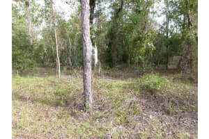 Lot 8 Sw Nautilus Blvd, DUNNELLON