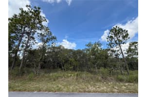 Tbd Sw Temple Heights Ct, DUNNELLON