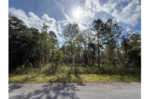 Tbd Sw Temple Heights Ct, DUNNELLON