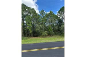 116 Corkwood, HOMOSASSA