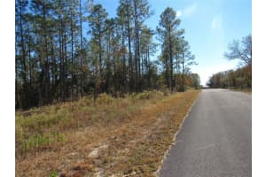 0000 Sw Sands Pt Ave Lot 32, DUNNELLON