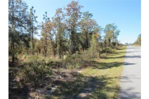 0000 Sw Plaza Court Ct, DUNNELLON