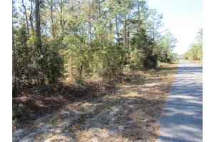 0000 Sw Beaver Dr, DUNNELLON