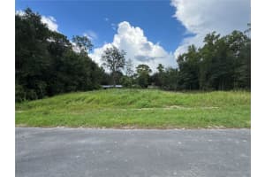 7 Spring Trak, OCALA