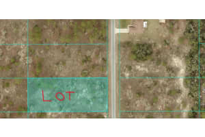 Tbd Sw Carnation Ct, DUNNELLON