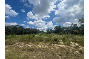 15767 Sw 37th Ave, OCALA