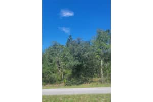 0 Sw Big Bear Rdg, DUNNELLON