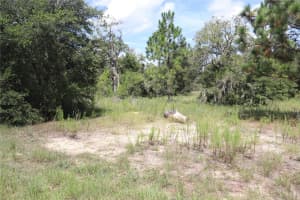5609 W Connetquot Pl, DUNNELLON