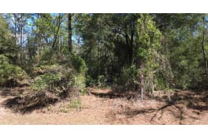 Sw 129 Ter, OCALA