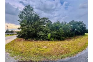 Tbd Sw 111th Pl, OCALA