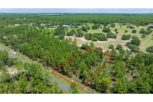 Lot14 Se 136 Th Ter, DUNNELLON