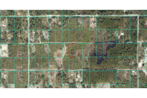 Tract 343 Sw 156th Pl, DUNNELLON