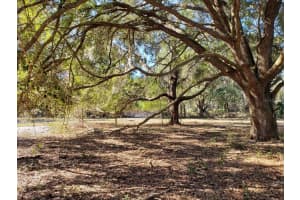 13.12ac Ne Hwy 315, FORT MC COY