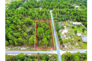 Tbd Sw Little Cliffs Dr, DUNNELLON