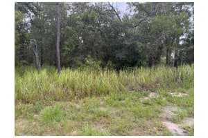 Locust Ln, OCALA