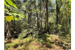 Lot 30 Sw 31st Pl, OCALA