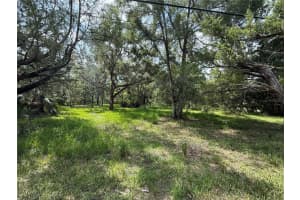 11990 W Eldred Ln, HOMOSASSA