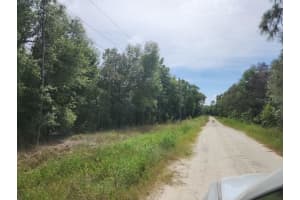 Lot 12 Sw 96th Ln, DUNNELLON