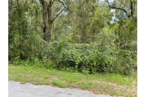 Lots 13 & 14 Sw Shorewood Dr, DUNNELLON