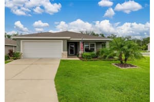16235 Se 104th Ter, SUMMERFIELD