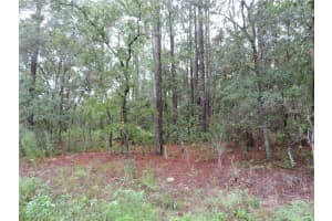 Tbd Sw 135th Terrace Rd, DUNNELLON