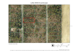 Tbd Sw Willow Rd Ext, DUNNELLON