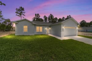 2 Locust Run Cir, OCALA