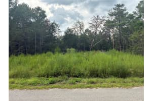 Moines Ct, DUNNELLON