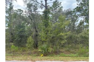 Redwing Rd, DUNNELLON