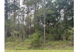 Nw Redwood, DUNNELLON