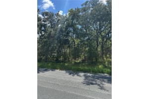 4 Honeysuckle Ct N, HOMOSASSA