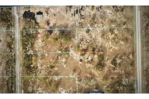 Sw Portulaca Ct, DUNNELLON