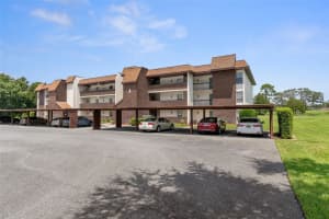 3 Cypress Run #36c, HOMOSASSA 3 Cypress Run #36c, HOMOSASSA