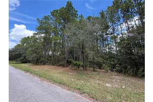 Tbd Sw 80th Ct, OCALA